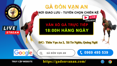 CLB Gà Đòn Vạn An - Quảng Ngãi